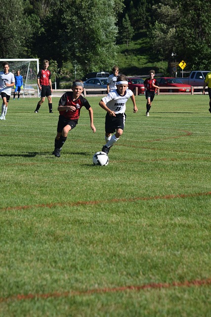 据上的突出 据上的突出