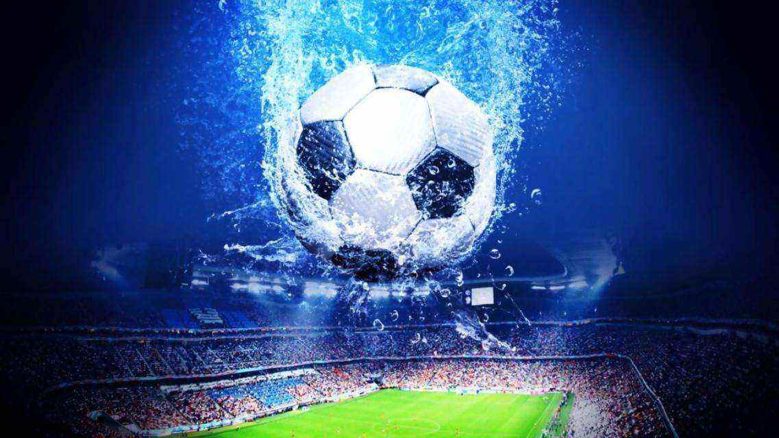 物的逼真动 物的逼真动