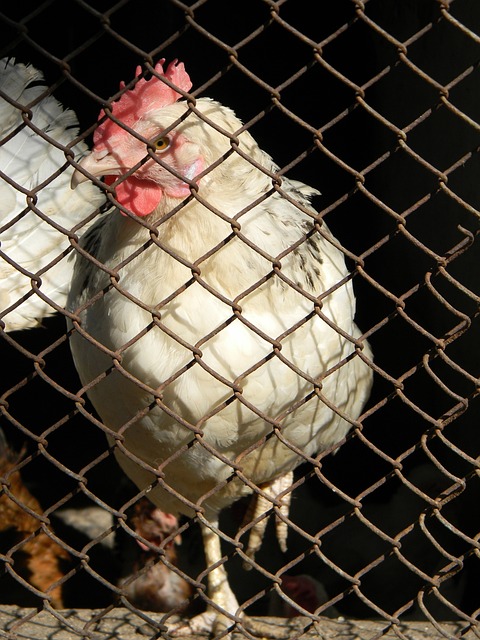 和热刺能否 和热刺能否