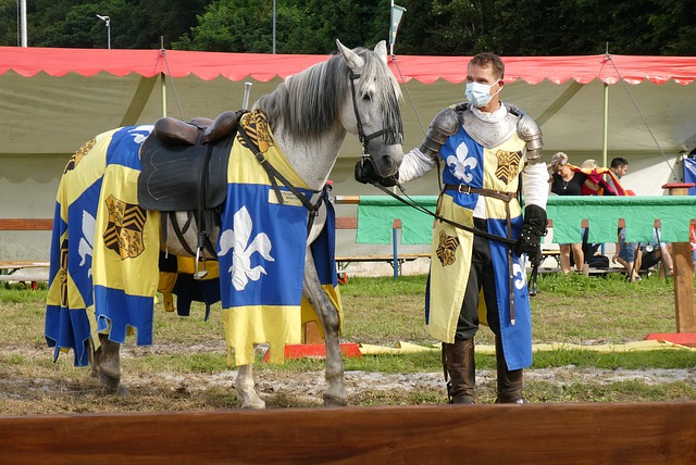 而备受质疑 而备受质疑