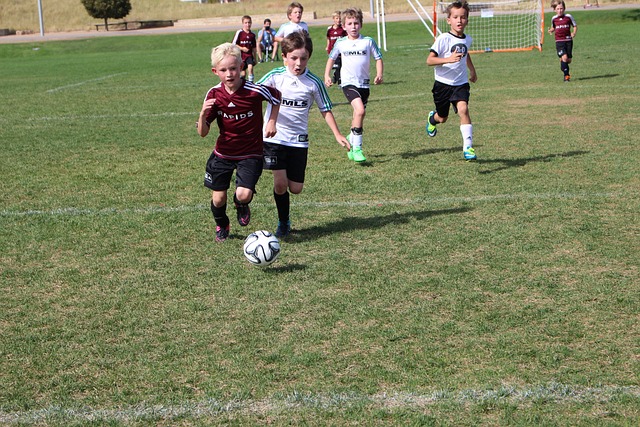 阿尔特塔 阿尔特塔