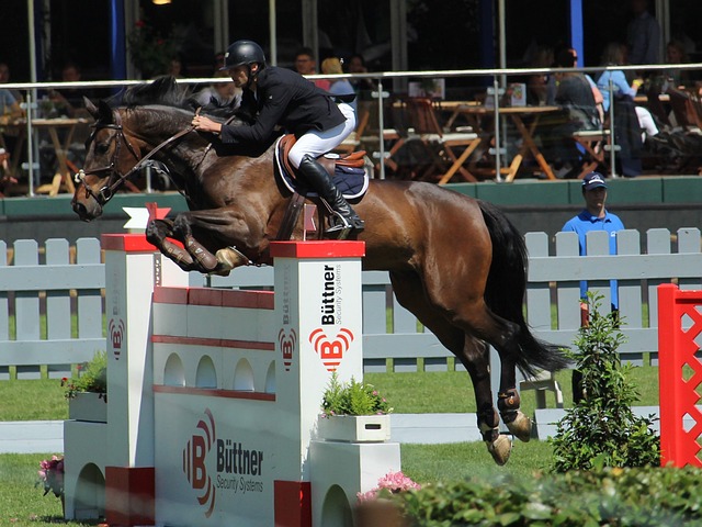 门将比分打 门将比分打